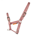 OW Foal Headcollar